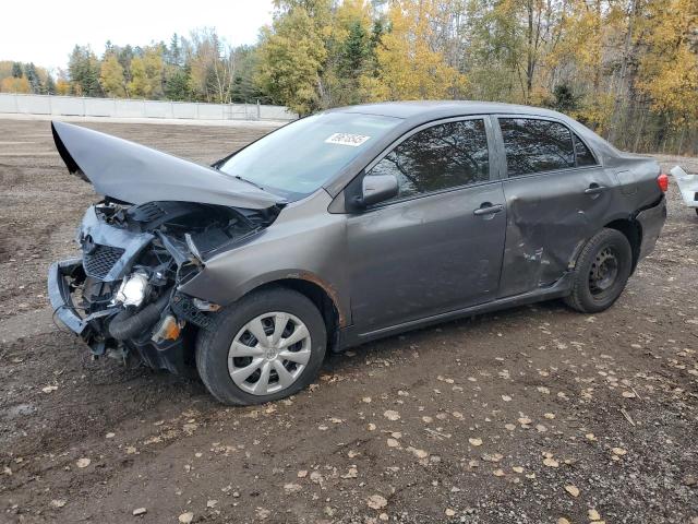 TOYOTA COROLLA BA 2010 with VIN 2T1BU4EE9AC246965 - Photo from auction
