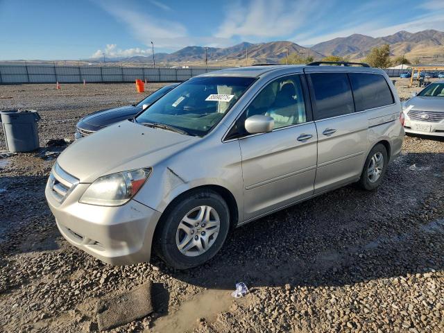 HONDA ODYSSEY EX 2007 with VIN 5FNRL38697B456826 - Photo from auction