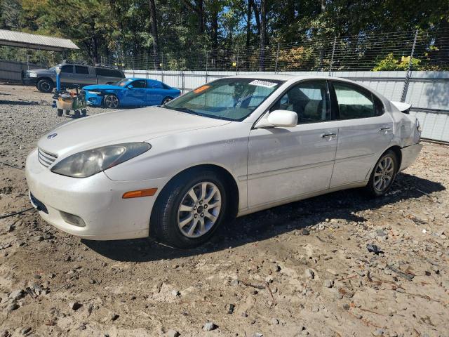 LEXUS ES 300 2002 with VIN JTHBF30G125020459 - Photo from auction