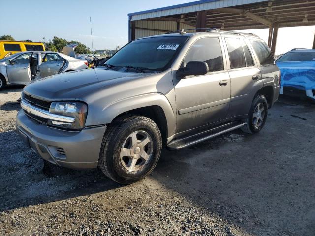 CHEVROLET TRAILBLAZE 2006 with VIN 1GNDS13S262201465 - Photo from auction