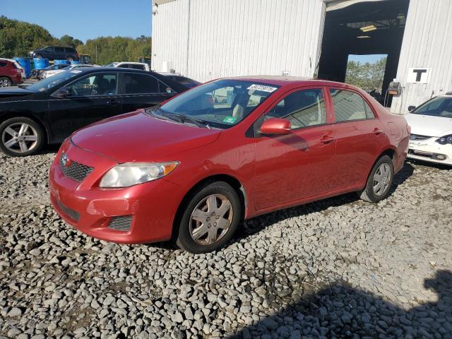 TOYOTA COROLLA BA 2010 with VIN 1NXBU4EE6AZ191941 - Photo from auction