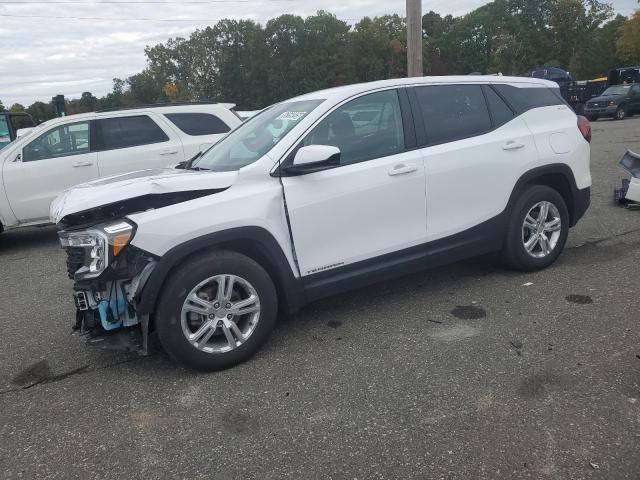 Photo 1 from auction – 2024 GMC TERRAIN SL with VIN 3GKALMEG7RL359617