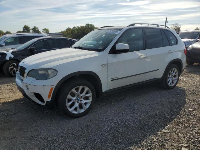 BMW X5 XDRIVE3 2011 with VIN 5UXZV4C54BL408394 - Photo from auction
