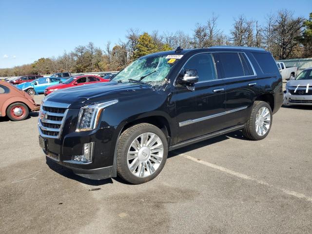 CADILLAC ESCALADE P 2020 with VIN 1GYS4CKJ0LR239367 - Photo from auction