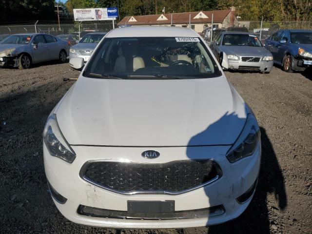Photo 5 from auction – 2014 KIA CADENZA PR with VIN KNALN4D78E5166786