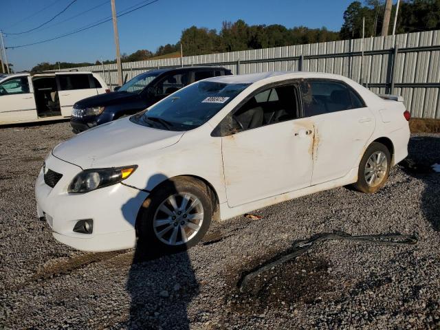 TOYOTA COROLLA BA 2010 with VIN 2T1BU4EE8AC382181 - Photo from auction