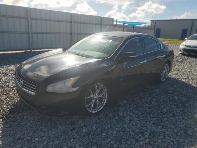 NISSAN MAXIMA S 2010 with VIN 1N4AA5APXAC841856 - Photo from auction