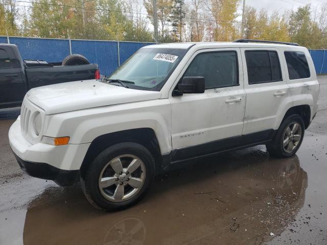 JEEP PATRIOT 2014 with VIN 1C4NJRAB9ED568965 - Photo from auction