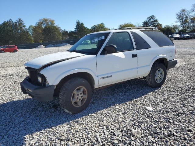 CHEVROLET BLAZER 1996 with VIN 1GNCT18W3TK171277 - Photo from auction