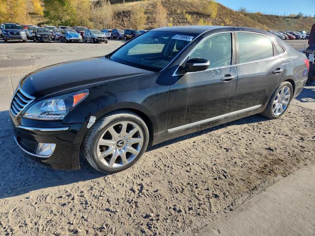 HYUNDAI EQUUS SIGN 2011 with VIN KMHGH4JF8BU042490 - Photo from auction