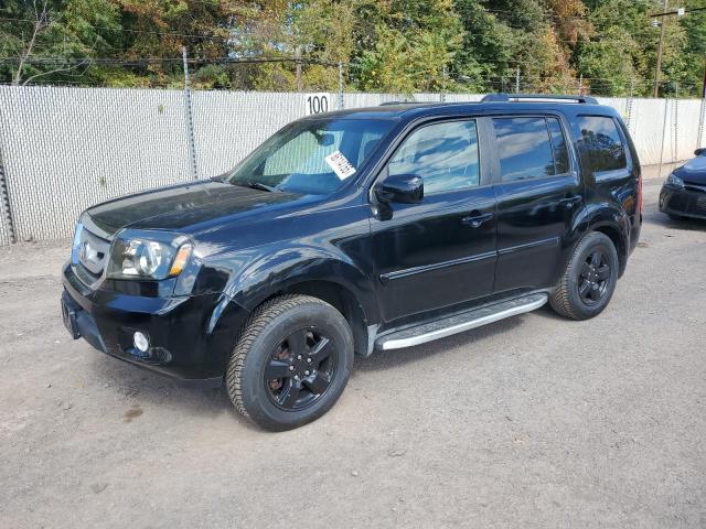 HONDA PILOT EXL 2009 z numerem VIN 5FNYF48529B007703 - Zdjęcie z aukcji