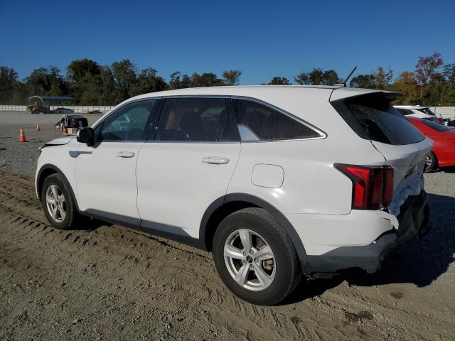 Photo 2 from auction – 2023 KIA SORENTO with VIN 5XYRG4LC0PG248897