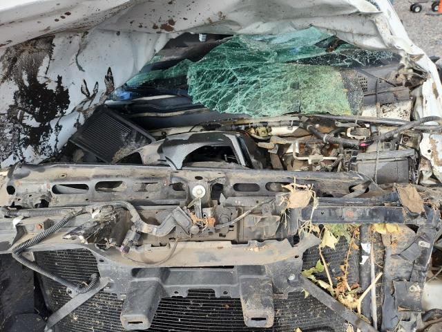 Photo 11 from auction – 2019 CHEVROLET SILVERADO with VIN 2GC2KSEGXK1161290