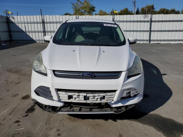 Photo 5 from auction – 2014 FORD ESCAPE SE with VIN 1FMCU9GX4EUD32365