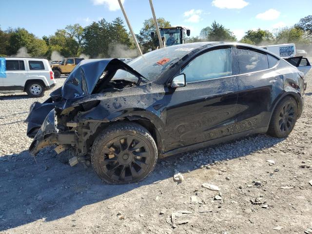 TESLA MODEL Y 2023 with VIN 7SAYGDEE6PA213542 - Photo from auction