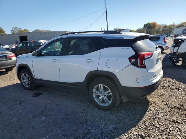 Photo 2 from auction – 2023 GMC TERRAIN SL with VIN 3GKALTEG9PL237963