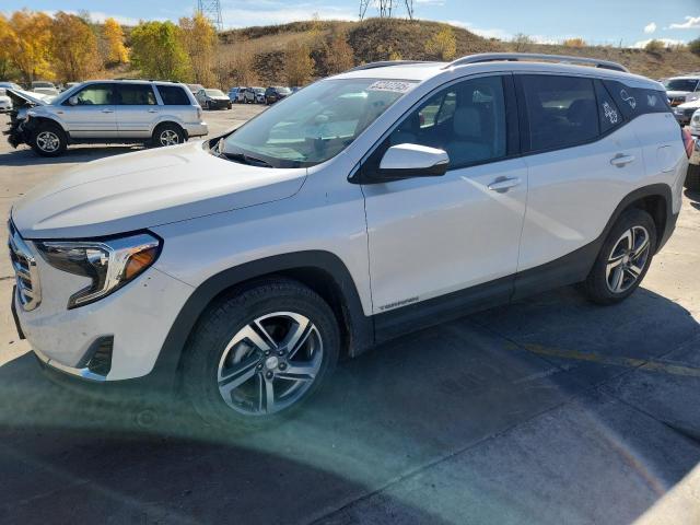 GMC TERRAIN SL 2021 with VIN 3GKALVEV5ML380818 - Photo from auction