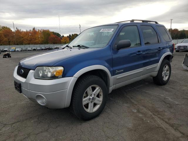 FORD ESCAPE HEV 2007 with VIN 1FMCU59H77KA69978 - Photo from auction