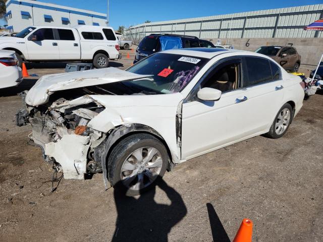 HONDA ACCORD EXL 2010 with VIN 5KBCP3F89AB009663 - Photo from auction