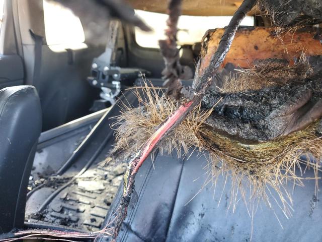 Photo 10 from auction – 2012 JEEP GRAND CHER with VIN 1C4RJFAG0CC124274