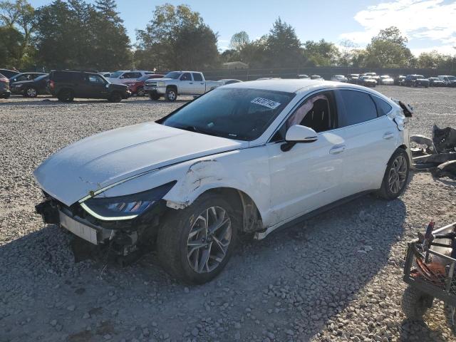 HYUNDAI SONATA SEL 2020 with VIN 5NPEL4JA4LH034459 - Photo from auction