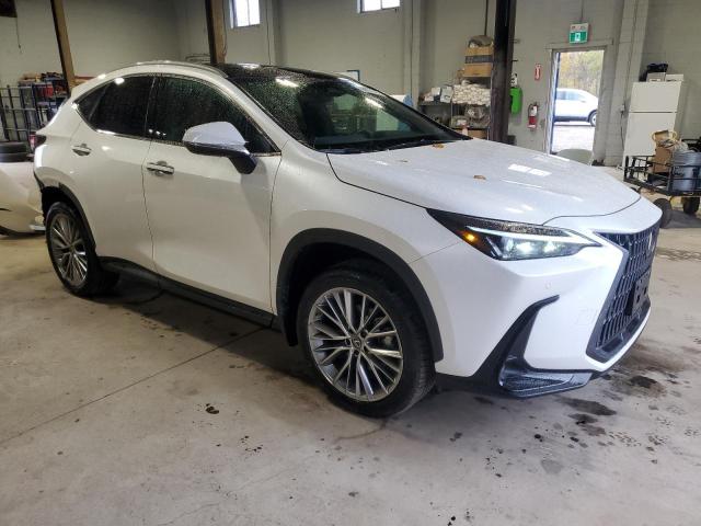 Photo 4 from auction – 2023 LEXUS NX 350H with VIN 2T2GKCEZ4PC012004