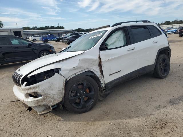JEEP CHEROKEE L 2018 with VIN 1C4PJLDB0JD534828 - Photo from auction