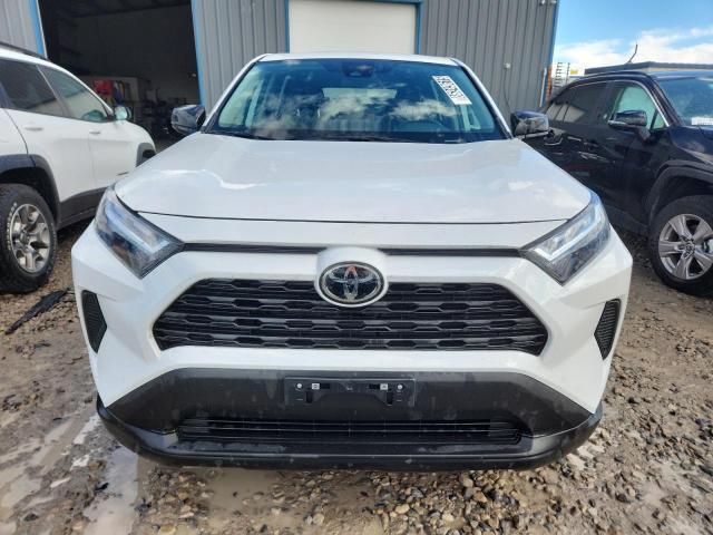 Photo 5 from auction – 2025 TOYOTA RAV4 LE with VIN 2T3F1RFV5SC533122