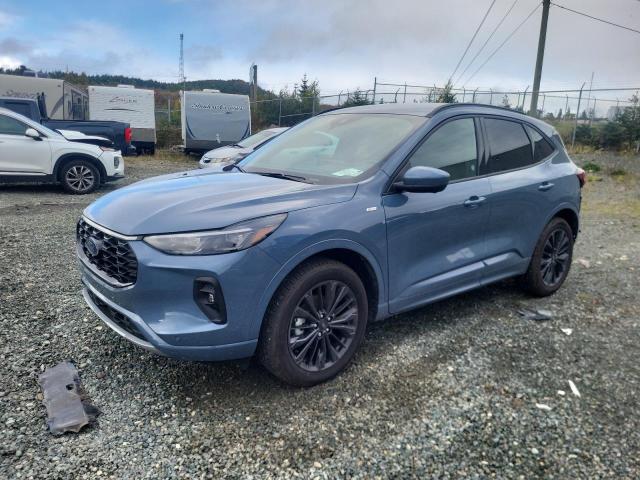 FORD ESCAPE 2025 with VIN 1FMCU9PZ7SUA76249 - Photo from auction
