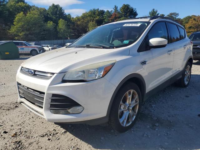 Photo 1 from auction – 2013 FORD ESCAPE SE with VIN 1FMCU9GX0DUD82677