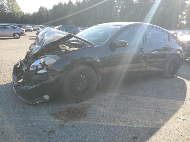 NISSAN MAXIMA SE 2005 with VIN 1N4BA41E05C856109 - Photo from auction