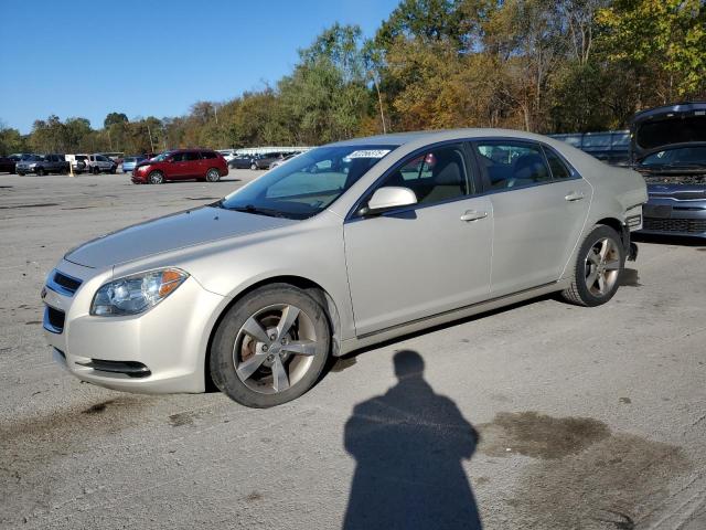 CHEVROLET MALIBU 1LT 2011 with VIN 1G1ZC5E18BF116083 - Photo from auction