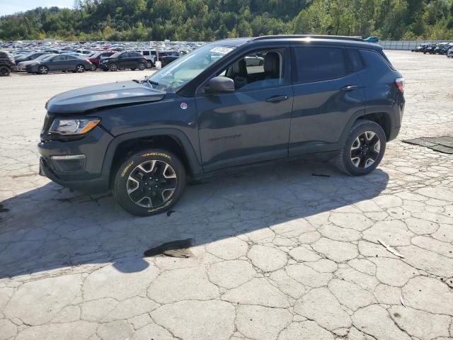 JEEP COMPASS TRAILHAWK 2018 with VIN 3C4NJDDB3JT130851 - Photo from auction