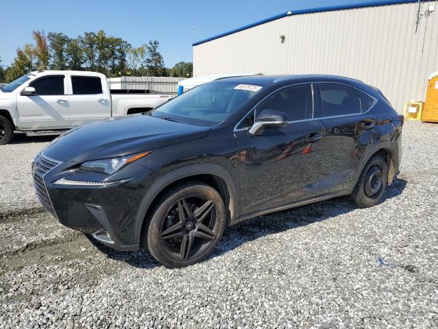 LEXUS NX 300 BAS 2018 with VIN JTJBARBZ2J2175889 - Photo from auction