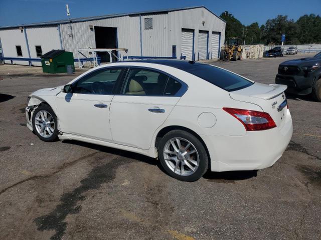 Photo 2 from auction – 2011 NISSAN MAXIMA S with VIN 1N4AA5AP7BC869194