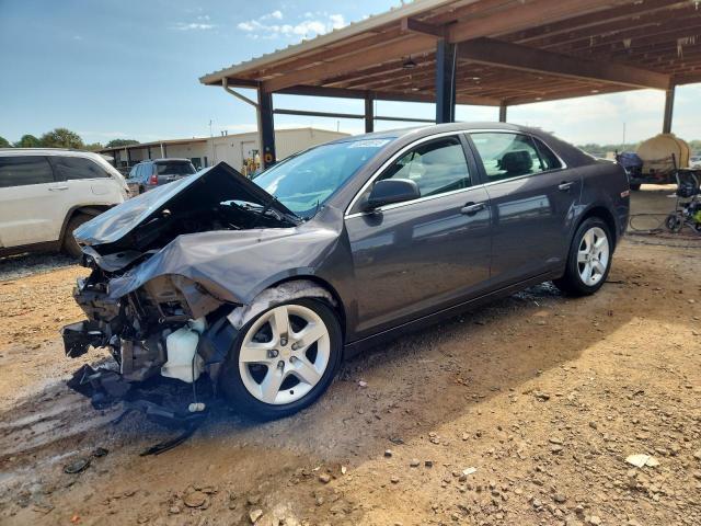CHEVROLET MALIBU LS 2010 with VIN 1G1ZA5E02AF278450 - Photo from auction