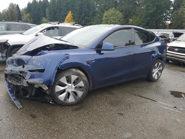 TESLA MODEL Y 2024 with VIN 7SAYGAEE5RF995126 - Photo from auction