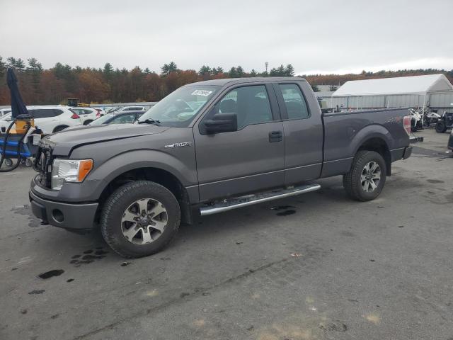 FORD F150 SUPER 2014 with VIN 1FTEX1EM8EFB54169 - Photo from auction