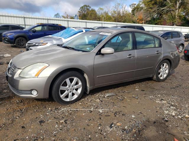 NISSAN MAXIMA SE 2005 with VIN 1N4BA41EX5C859860 - Photo from auction