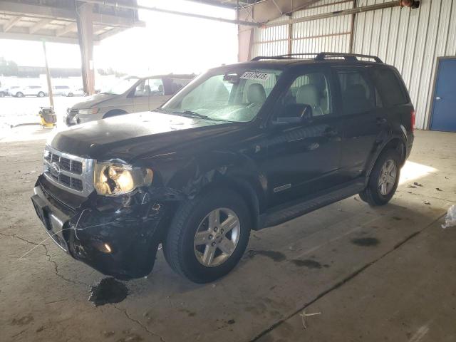 FORD ESCAPE HEV 2008 with VIN 1FMCU59HX8KB06264 - Photo from auction