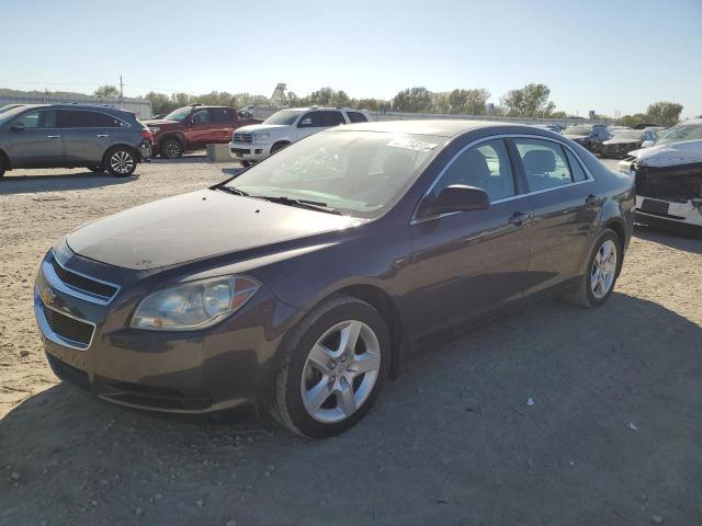 CHEVROLET MALIBU LS 2012 with VIN 1G1ZB5E08CF320250 - Photo from auction