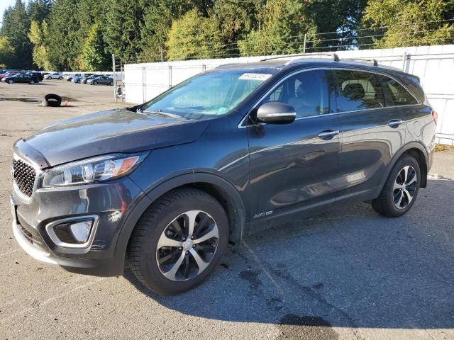 KIA SORENTO EX 2017 with VIN 5XYPHDA59HG204973 - Photo from auction