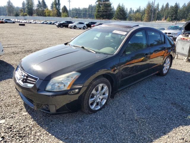 NISSAN MAXIMA SE 2008 with VIN 1N4BA41E28C820880 - Photo from auction