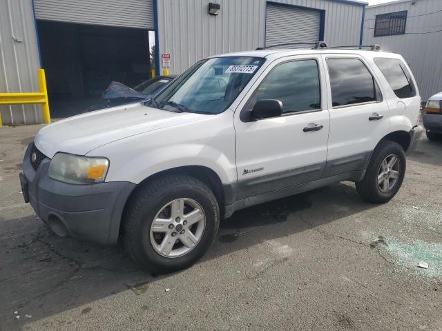 FORD ESCAPE HEV 2005 with VIN 1FMCU95H45KC45976 - Photo from auction