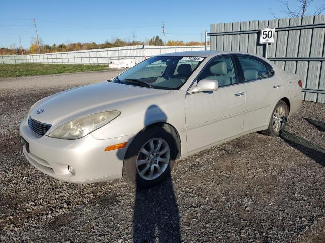 LEXUS ES 330 2006 with VIN JTHBA30G165166655 - Photo from auction