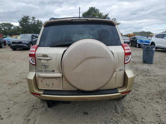 Photo 6 from auction – 2010 TOYOTA RAV4 with VIN JTMBF4DV1AD039047