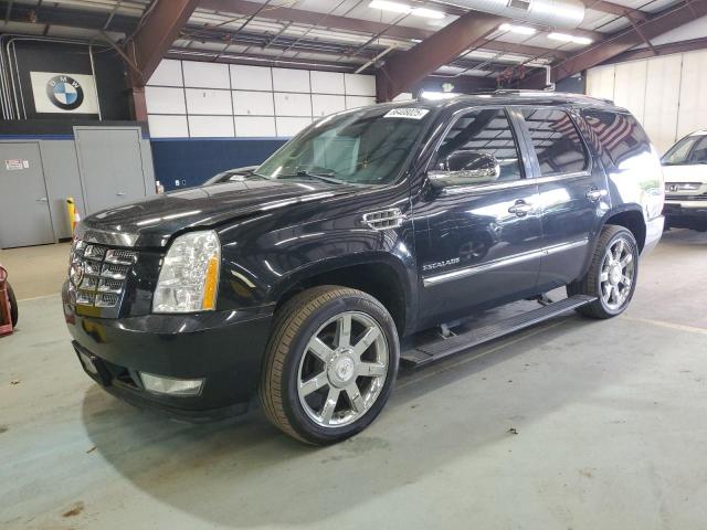 CADI ESCALADE PREMIUM 2010 с VIN 1GYUKCEF2AR254309 - Фото с аукциона