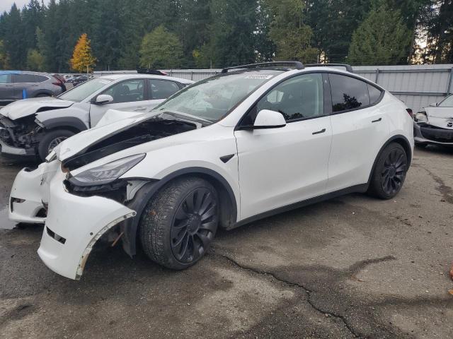 TESLA MODEL Y 2021 with VIN 5YJYGDEF1MF094013 - Photo from auction