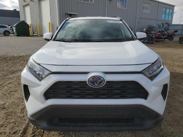 Photo 5 from auction – 2023 TOYOTA RAV4 LE with VIN 2T3BWRFV0PW168239