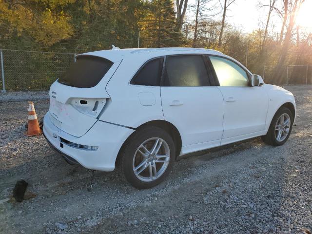 Photo 3 from auction – 2013 AUDI Q5 with VIN WA1DGAFP8DA047598